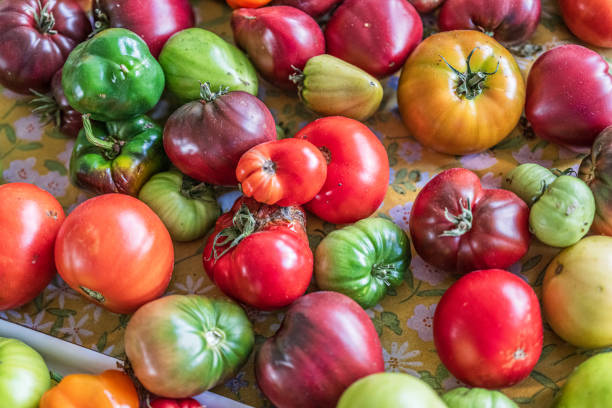 istock Colourful assortment of tomatoes and peppers on a table.. 2201128215