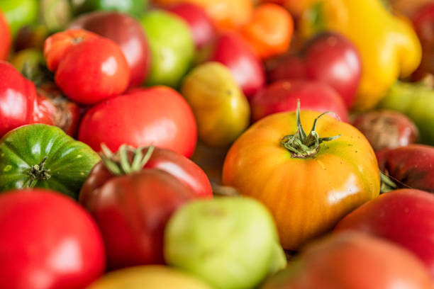istock Colourful assortment of tomatoes and peppers on a table.. 2201128254