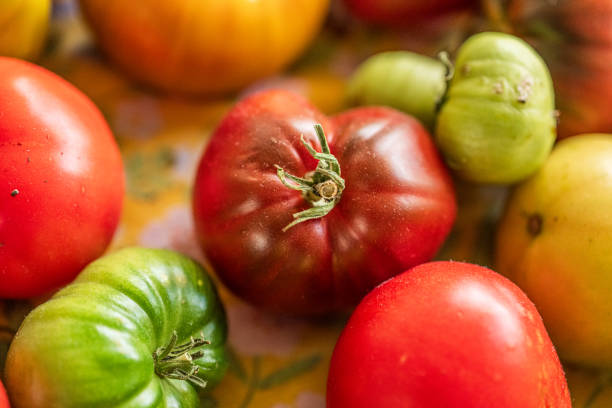 istock Colourful assortment of tomatoes and peppers on a table.. 2201128270