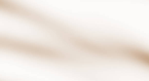 istock Brown shadow of leaves overlay on cream wall. 2201128795
