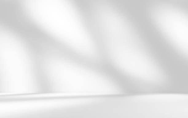 istock Empty white room studio with leaves shadow overlay effect for product presentation display. 2201128816