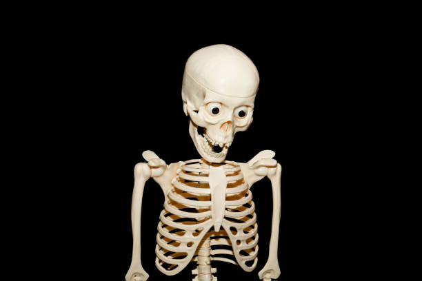 Scary skeleton on grey background. Copy space for text.