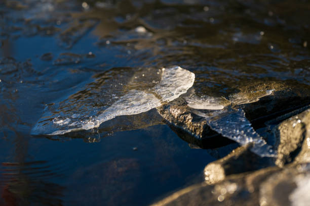 close-up of melting ice on dark water surface.