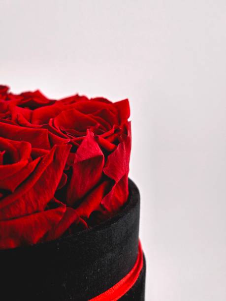 istock Photograph of red roses in a black box. 2201131385