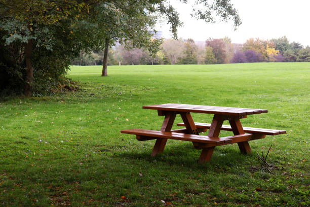 istock Alley and bench in Donaupark, Vienna, Austria - selective focus 2201133206