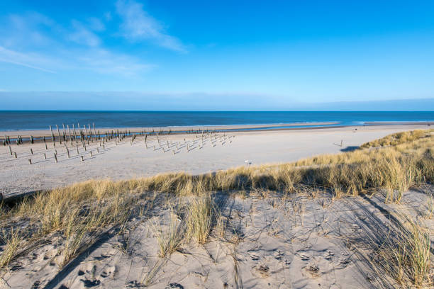 istock Pole village monument on the beach near Petten 2201133393