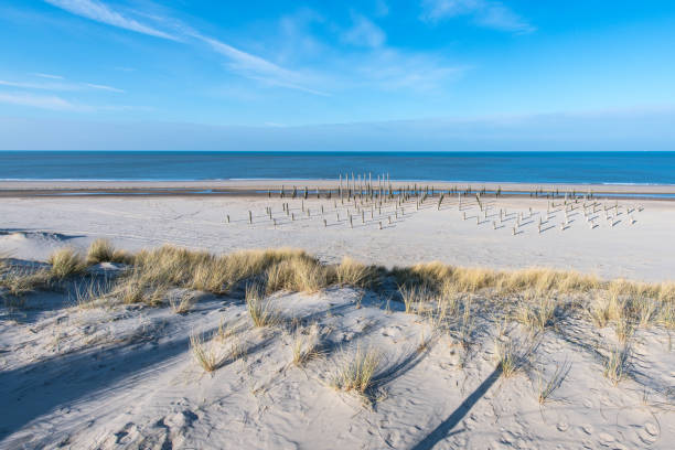 istock Pole village on the beach near Petten 2201133416