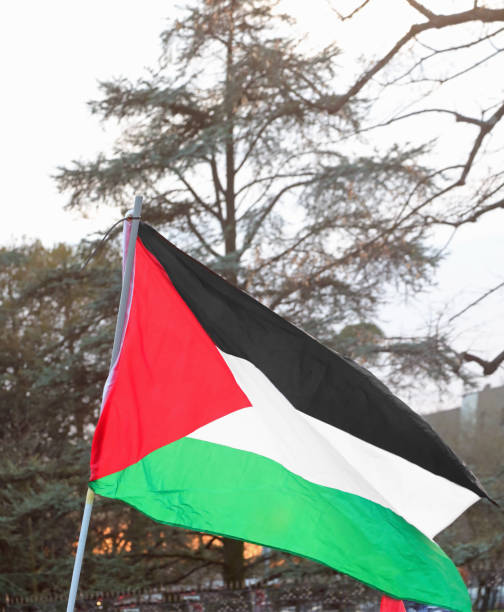 istock Palestinian Flag Flies High at City Protest Rally 2201134204