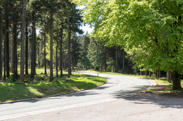The Thuringian Forest, a mountain range in southern Thuringia, Germany, has a geological history dating back to the early Paleozoic era, with its current form shaped by significant uplift and deformation during the late Cretaceous and Tertiary periods. This uplifted fault block, consisting of metamorphic and igneous rocks, played a crucial role in the region's development, contributing to important historical industries such as metalworking in Suhl and mining in Ilmenau due to its rich ore deposits