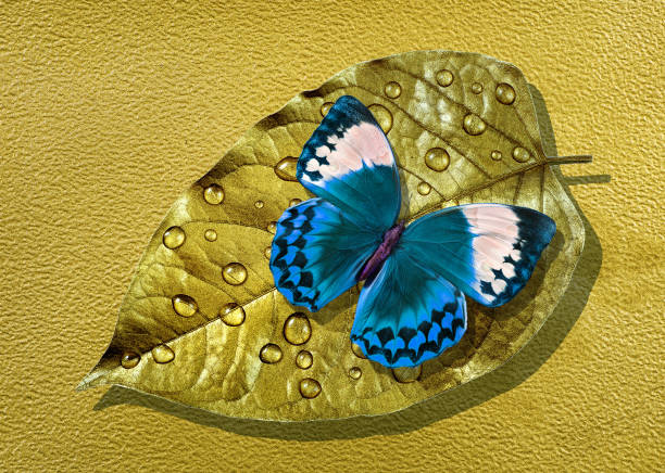 istock bright blue tropical morpho butterfly on a gold leaf in water drops. Blue and gold texture background. 2201153919
