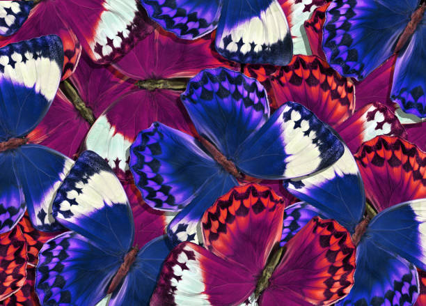 istock Pattern of purple and blue morpho butterflies. Bright butterflies texture background 2201153934