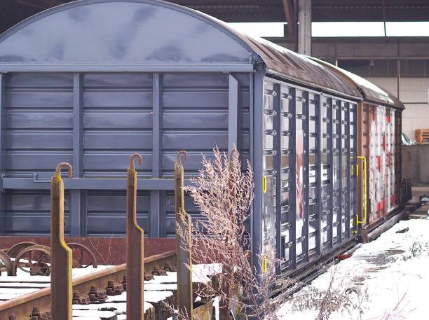 Old locomotives and rusting carriages at an abandoned station.