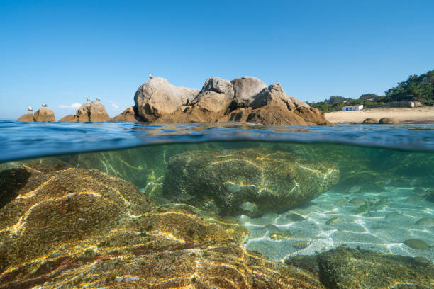 istock Atlantic ocean seascape rocks with seagulls and fish underwater 2201159278