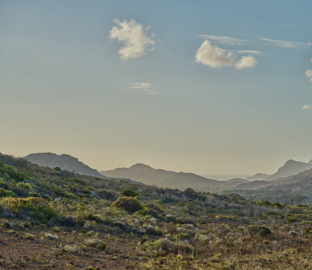 istock Scenic View of Rolling Hills and Clear Sky in Morning Light 2201163787