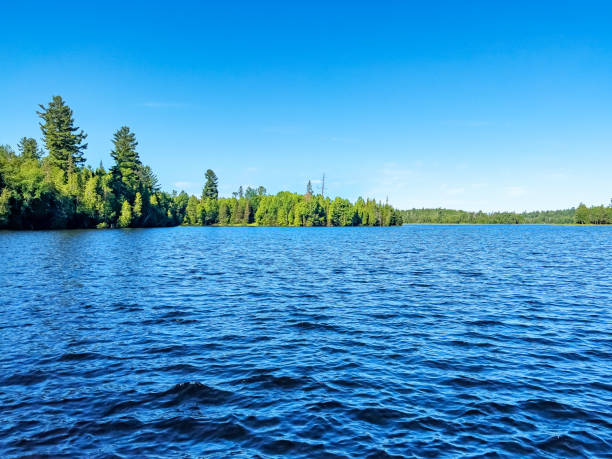 The blue waters of Red Cedar Lake, Nipissing District, Ontario Canada on a bright clear morning.  It is part of the Temagami River Provincial Park.  The rippled blue waters reflect the blue sky. A lush forest is on the horizon.