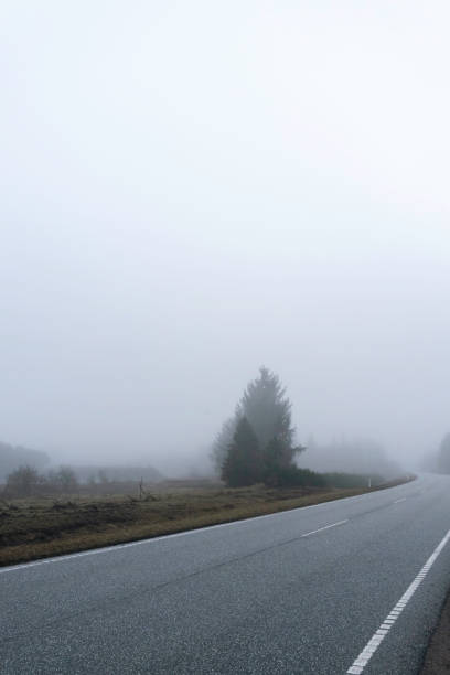 A paved road curves gently to the left, disappearing into thick fog.  On the left side, evergreen trees stand partially obscured by the mist.