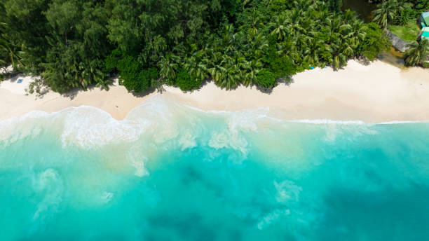 istock Waves gently washing up a secluded tropical beach. Seychelles, Mahe. 2201182334