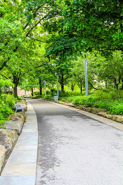 istock Peaceful walkway surrounded by lush greenery in Pittsburgh Pennsylvania 2201182767