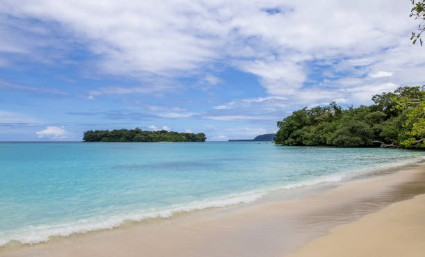 istock Vanuatu Port Orly Beach 2201187225