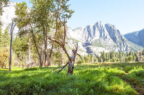 The natural beauty of Yosemite draws many from around the world. The wide open spaces and jagged mountains creates a peaceful setting.