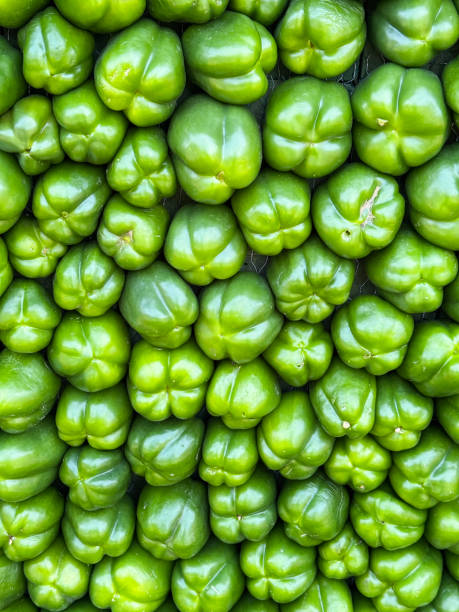 Full frame image of vegetable display of rows of tightly packed, whole green bell peppers (capsicum), elevated view of 3-lobed, 4-lobed bases, healthy eating concept
