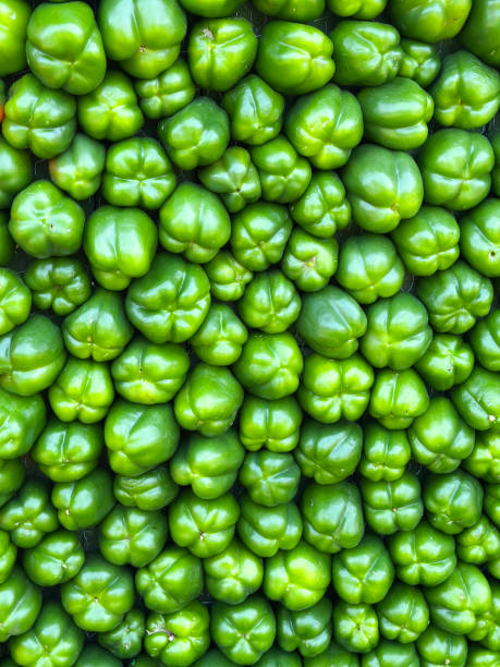 Full frame image of vegetable display of rows of tightly packed, whole green bell peppers (capsicum), elevated view of 3-lobed, 4-lobed bases, healthy eating concept