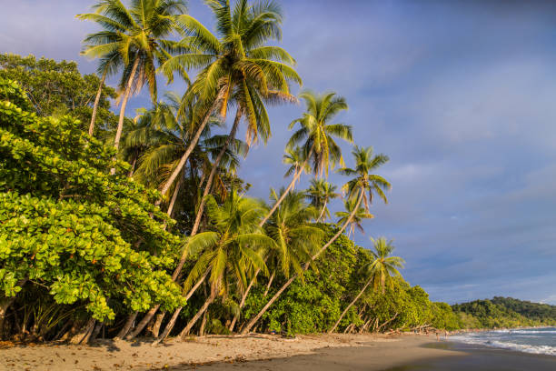 istock Tropical pacific beach in Costa Rica 2201202661