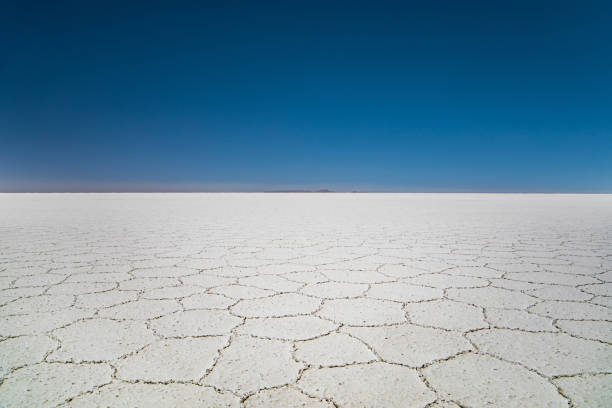 Serene sunset casting golden hues over expansive salt flats. Silhouetted mountains in the distance. Captures the calm and beauty of natural landscapes.