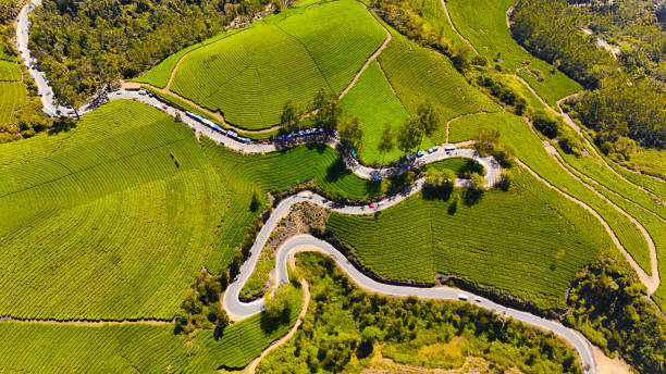 istock Mesmerizing Drone Capture of Munnar's Curvy Roads Amidst Tea Gardens 2201205823