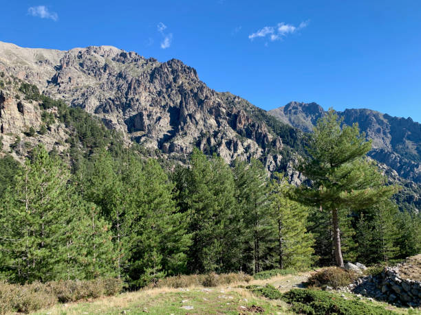 istock Landscape in Monte Rotondo massif in Corsica 2201219290