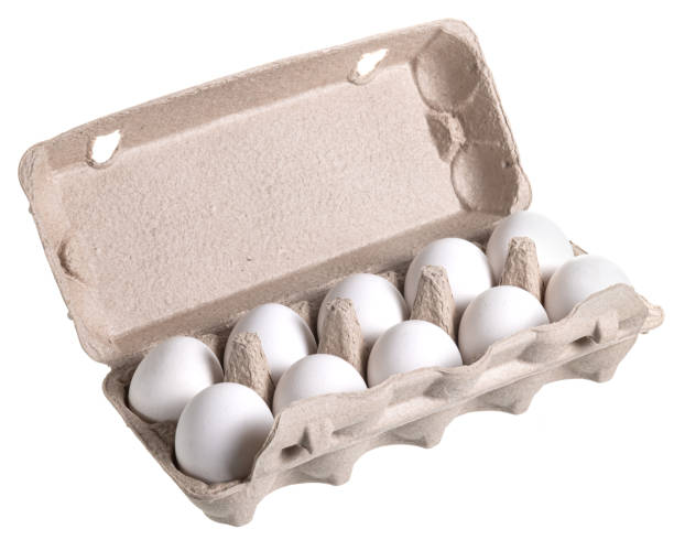 istock Ten white eggs in an open cardboard carton. Fresh, natural, and ready for cooking or baking! Simple food photography 2201219605