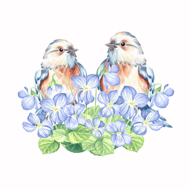 istock Small blue songbirds and violet flowers bouquet. Eastern bluebird with blooming saffron. Hand drawn watercolor illustration isolated. Romantic spring card template. Clipart for print, garden theme. 2201219900