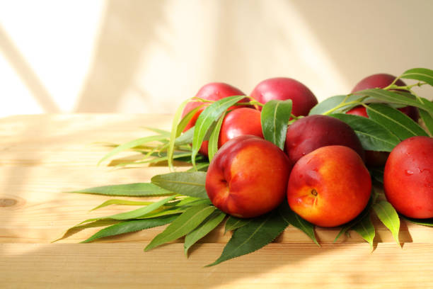 Ripe nectarines and leaves create a vibrant display on a sunlit wooden table