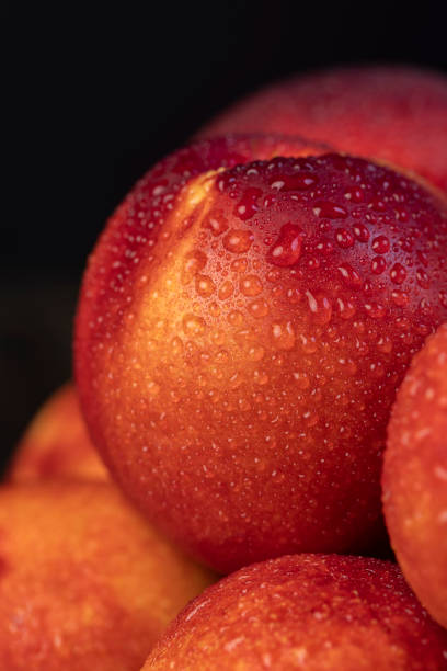 a small harvest of ripe washed nectarines in drops