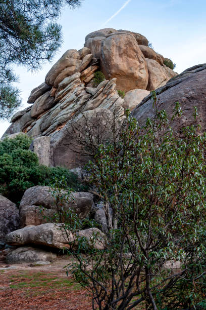 istock Granite cliffs and pine trees on the hill of La Hifguera 2201229464