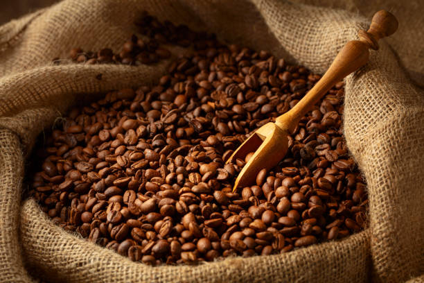 istock Roasted coffee beans in burlap bag. 2201229669