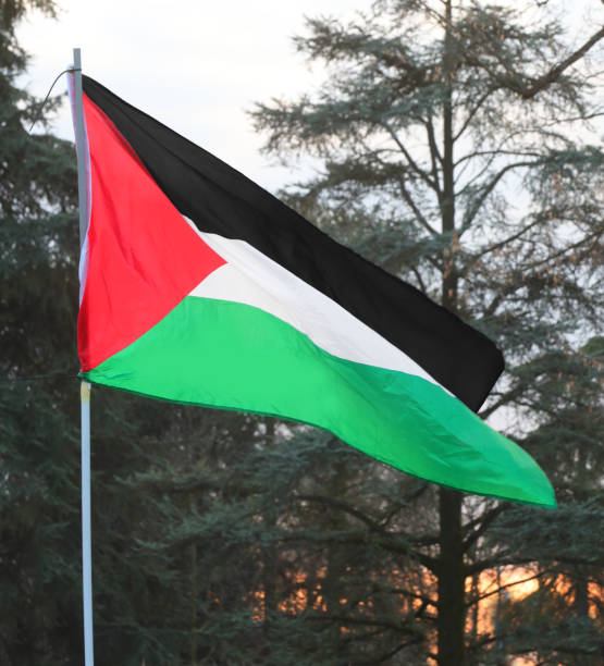 istock palestine flag with red triangle and black white and green stripes waving 2201230686