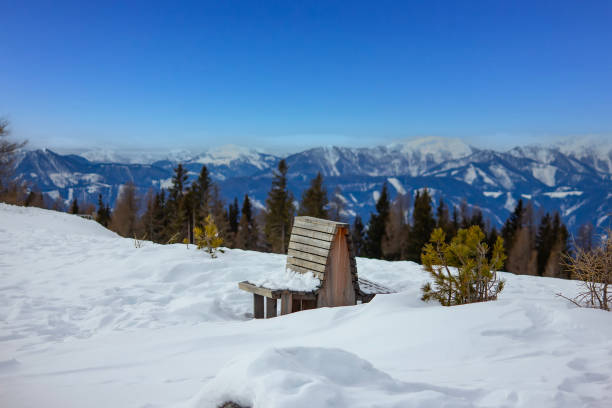 Log cabin in tilt shift