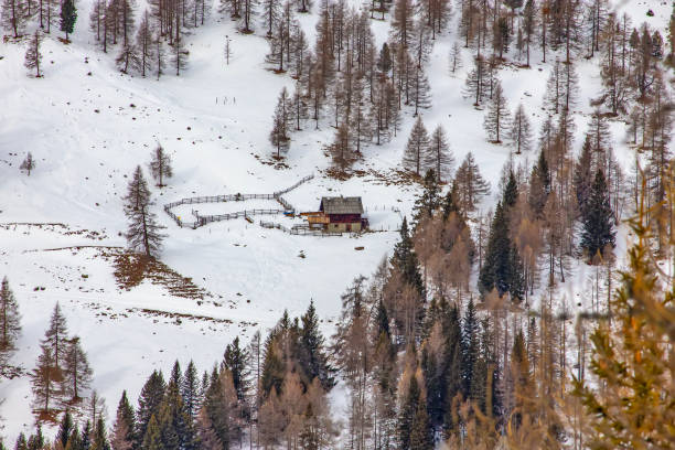 Rustic Cabin in Snowy Alpine Mountain Landscape