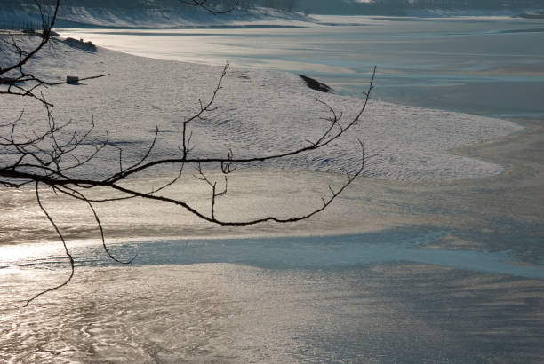 istock detail of a frozen lake through bare branches 2201235943