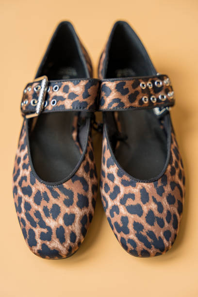 istock Leopard print ballet flats with buckle detail on beige background 2201237762