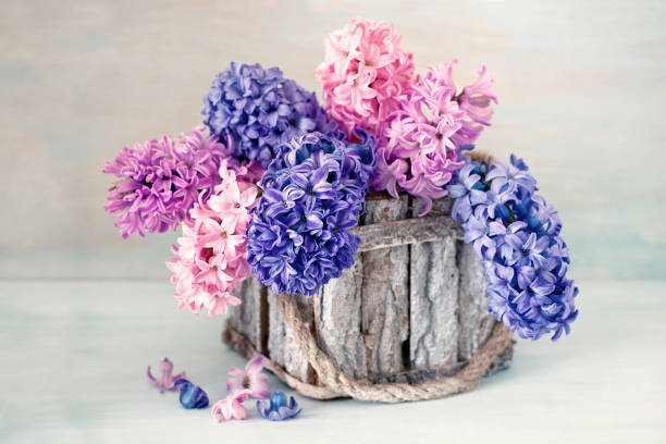 A vibrant pink flower stands tall in a recycled container filled with soil, surrounded by green grass and wild plants, showcasing eco-friendly gardening efforts under a clear sky.