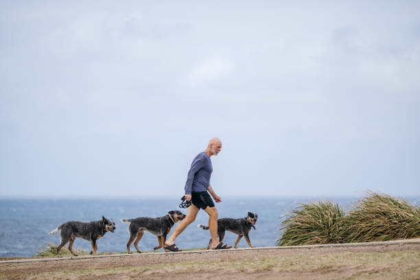 Man in his 60s with Australian Cattle Dog out for daily exercise, retirement, morning routine, fitness