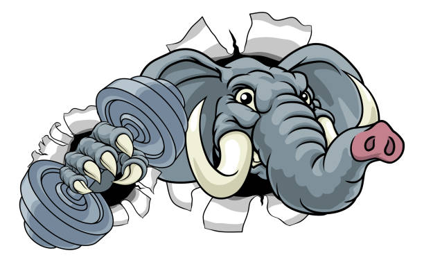 Elephant Weight Lifting Dumbbell Gym Mascot An elephant weight lifting gym animal sports mascot holding a dumbbell in its claw republican elephant logo stock illustrations