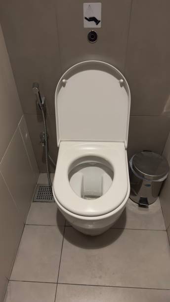 istock European toilet 2201243634
