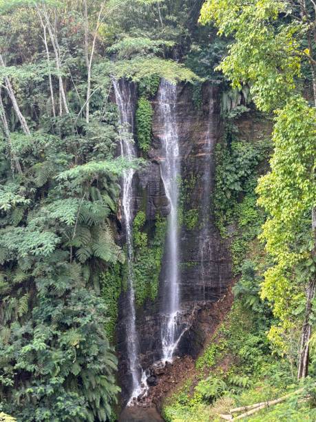 istock Hidden Waterfall Surrounded by Lush Greenery in Munduk, Bali 2201247648