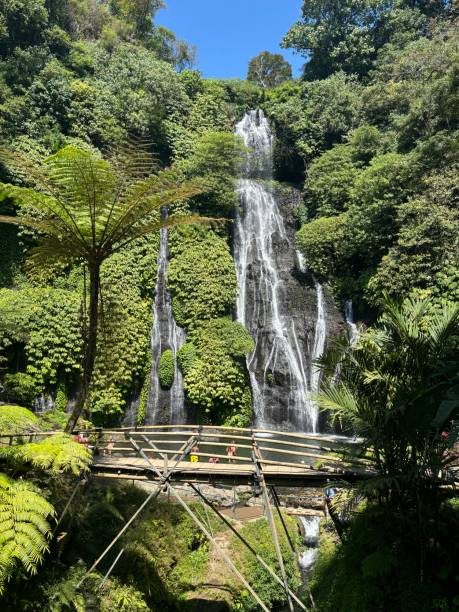 istock Banyumala Twin Waterfall – Hidden Paradise in Bali’s Lush Jungle 2201247722