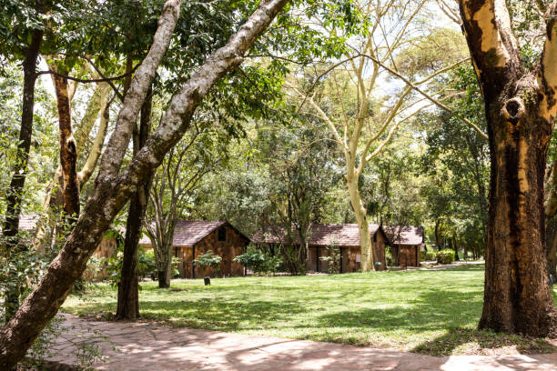 istock Sarova mara game camp safari lodge in Kenya 2201249260