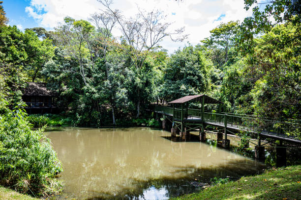 istock Sarova mara game camp safari lodge in Kenya 2201250241