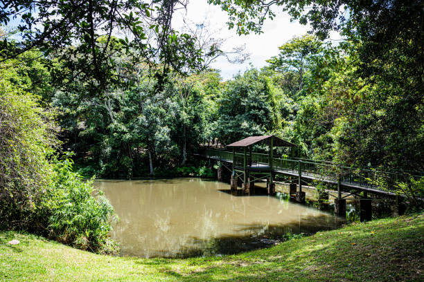 istock Sarova mara game camp safari lodge in Kenya 2201250259